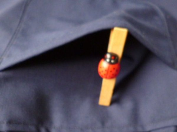 画像4: SALE　レッスンバック【３５×２６】汽車 (4)