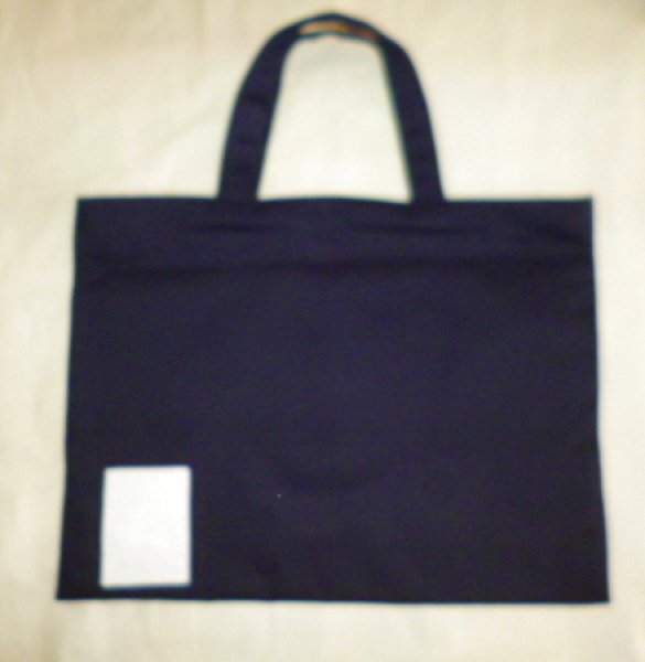 画像4: レッスンバック【３０×４０】飛行機 (4)