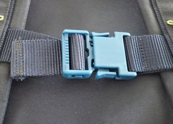 画像10: new♪通園お稽古リュック【27×33×10】　ブルーバラ＆リボン (10)