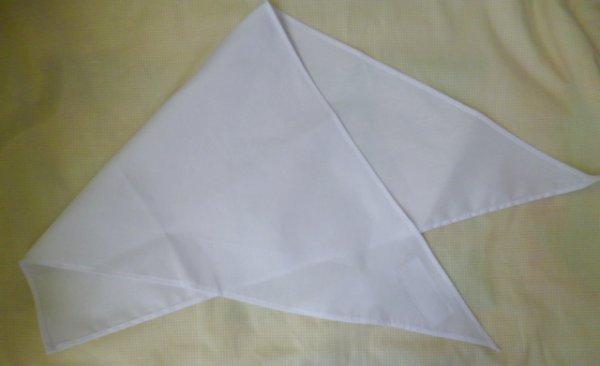 画像5: 湘南白百合仕様　掃除袋　ツイル【35×25】 (5)