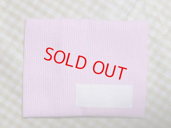 画像2: 保冷剤ケース   (2)