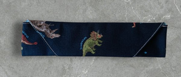 画像9: 大きめ封筒型お弁当４点セット【恐竜】暁星幼稚園仕様 (9)