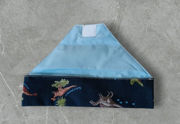 画像11: 大きめ封筒型お弁当４点セット【恐竜】暁星幼稚園仕様 (11)