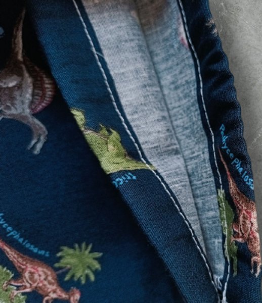 画像4: 大きめ封筒型お弁当４点セット【恐竜】暁星幼稚園仕様 (4)