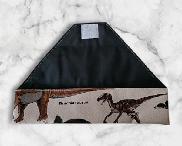 画像2: カトラリーケース【恐竜】21×5cm (2)