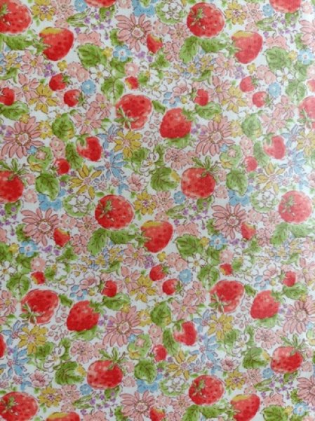 画像3: 図工マット&ケース 【40×60】いちご (3)