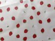 画像3: 図工マット&ケース 【40×60】いちご (3)