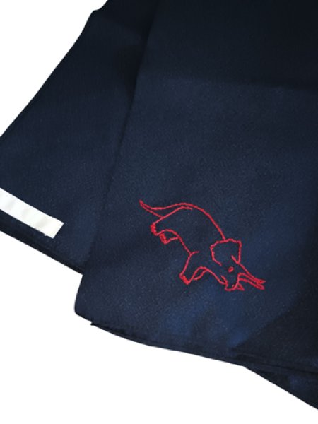 画像3: 風呂敷　鉄紺【７０ｃｍ】恐竜 (3)