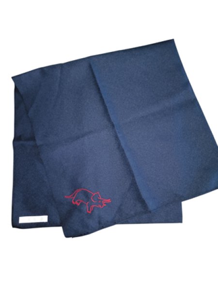 画像2: 風呂敷　鉄紺【７０ｃｍ】恐竜 (2)